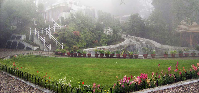 Shrubbery Nightingale Park, Darjeeling